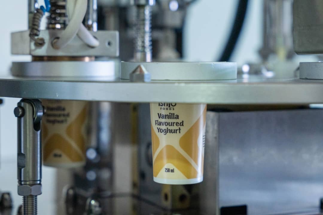 How data-driven decisions fueled Ishyo Foods’ growth