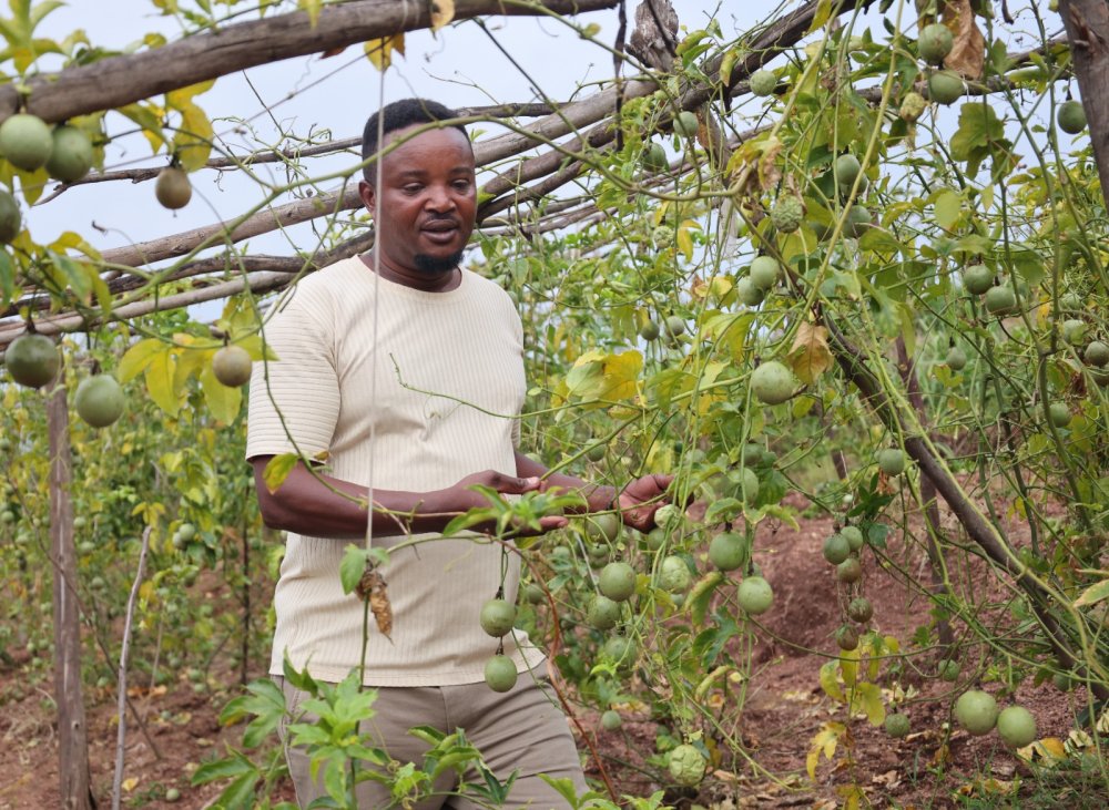 Over Rwf28 billion invested to boost agricultural productivity and post-harvest management