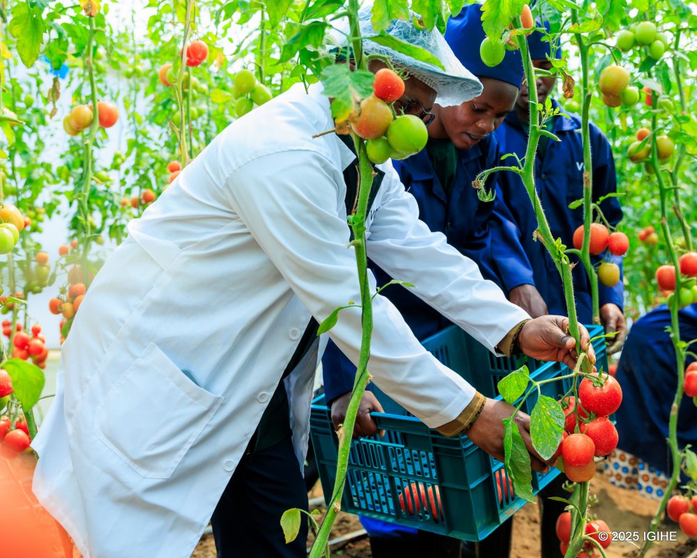 A glance at priority interventions under $300 million Volcanoes Community Resilience Project