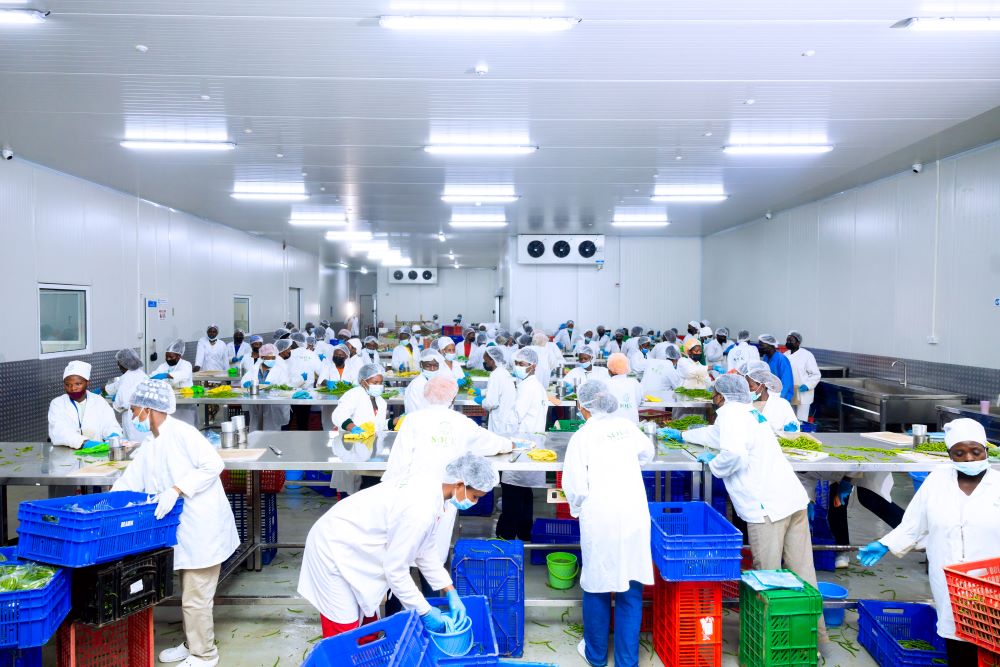 New packhouse in Rwanda to strengthen cold chain infrastructure