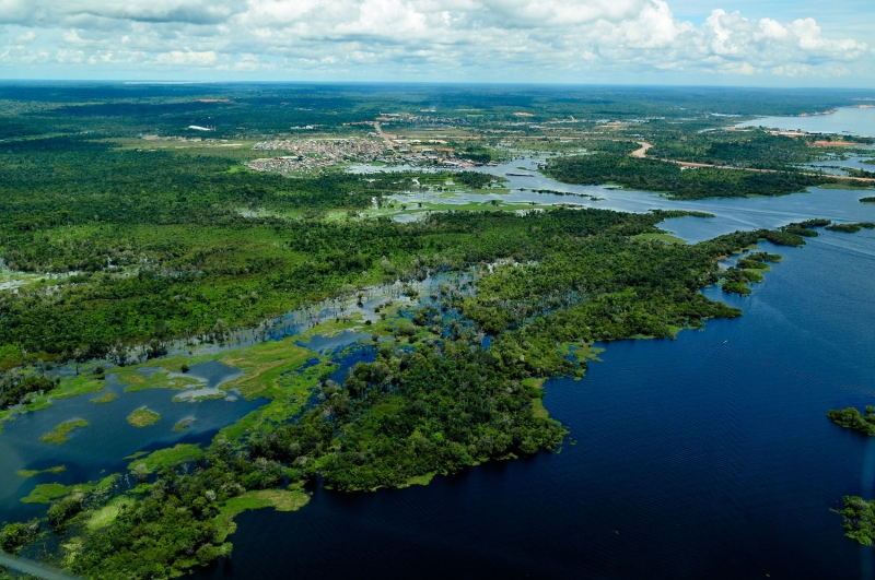 Amazon catfish migration faces growing threats to survival