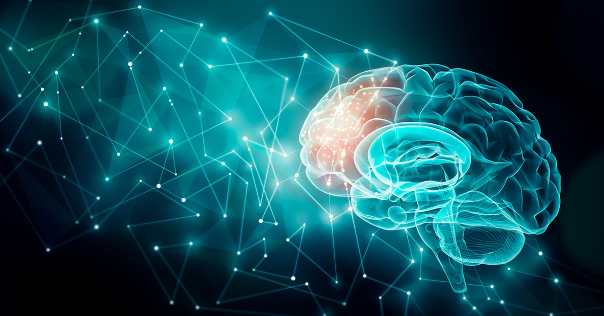New discovery reveals how common diabetes drug works in the brain