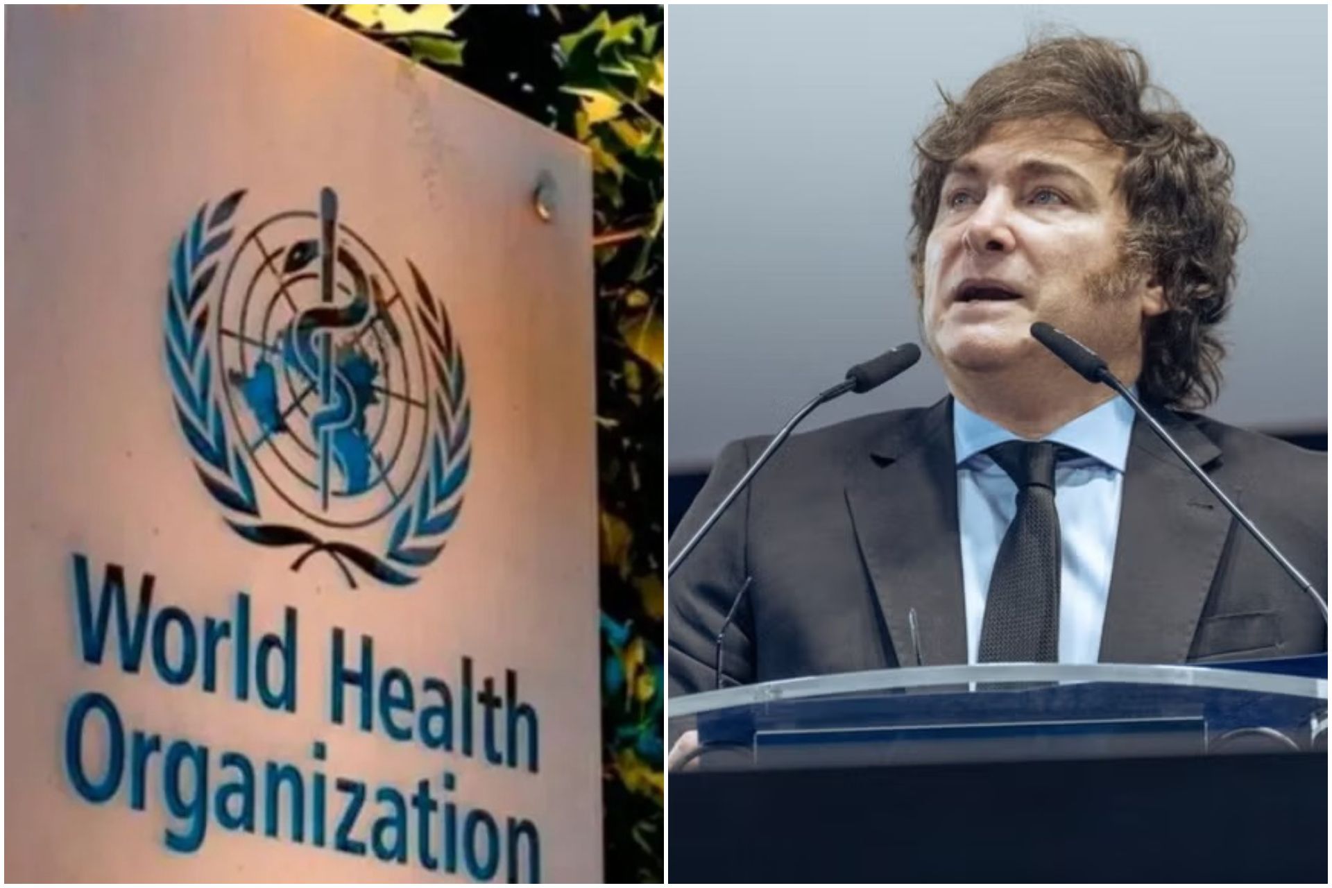 Argentina formally withdraws from WHO