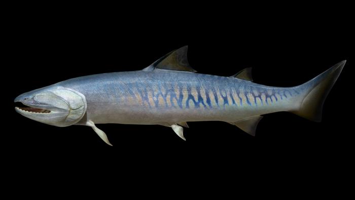 Ancient fish fossils push back timeline of vertebrate evolution by millions of years