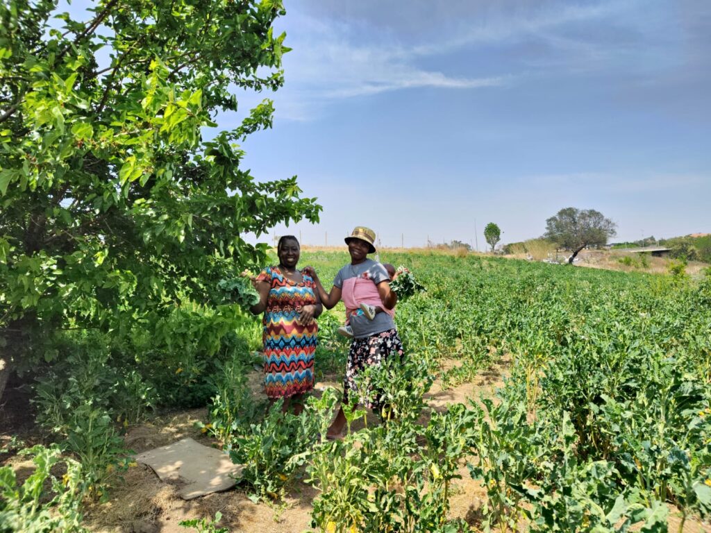 Africa climate summit urges investment in climate-smart agriculture to safeguard food security