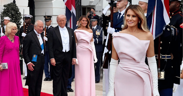 Melania Trump dazzles in couture Dior gown at White House state dinner