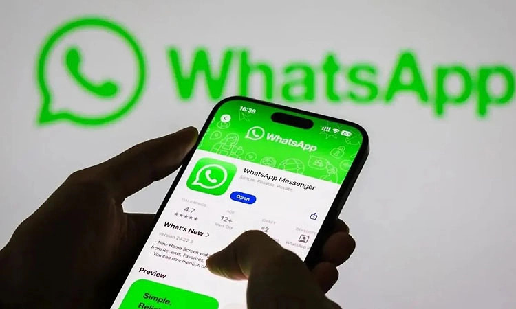 WhatsApp tests paid ‘Plus’ plan with limited personalisation features