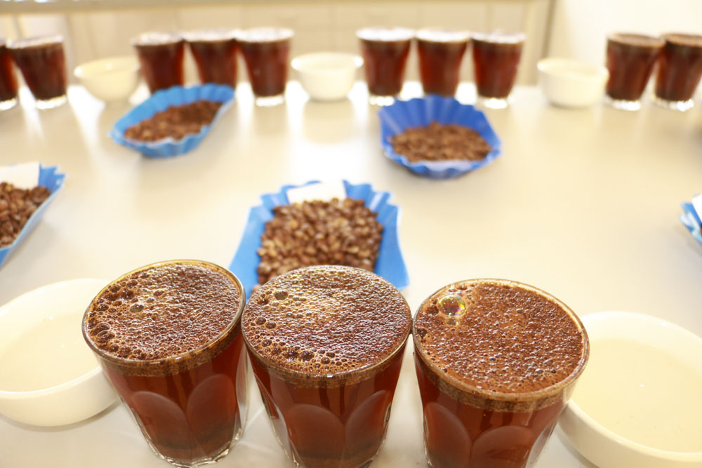 Rwanda coffee ranks among top performers at World of Coffee San Diego 2026