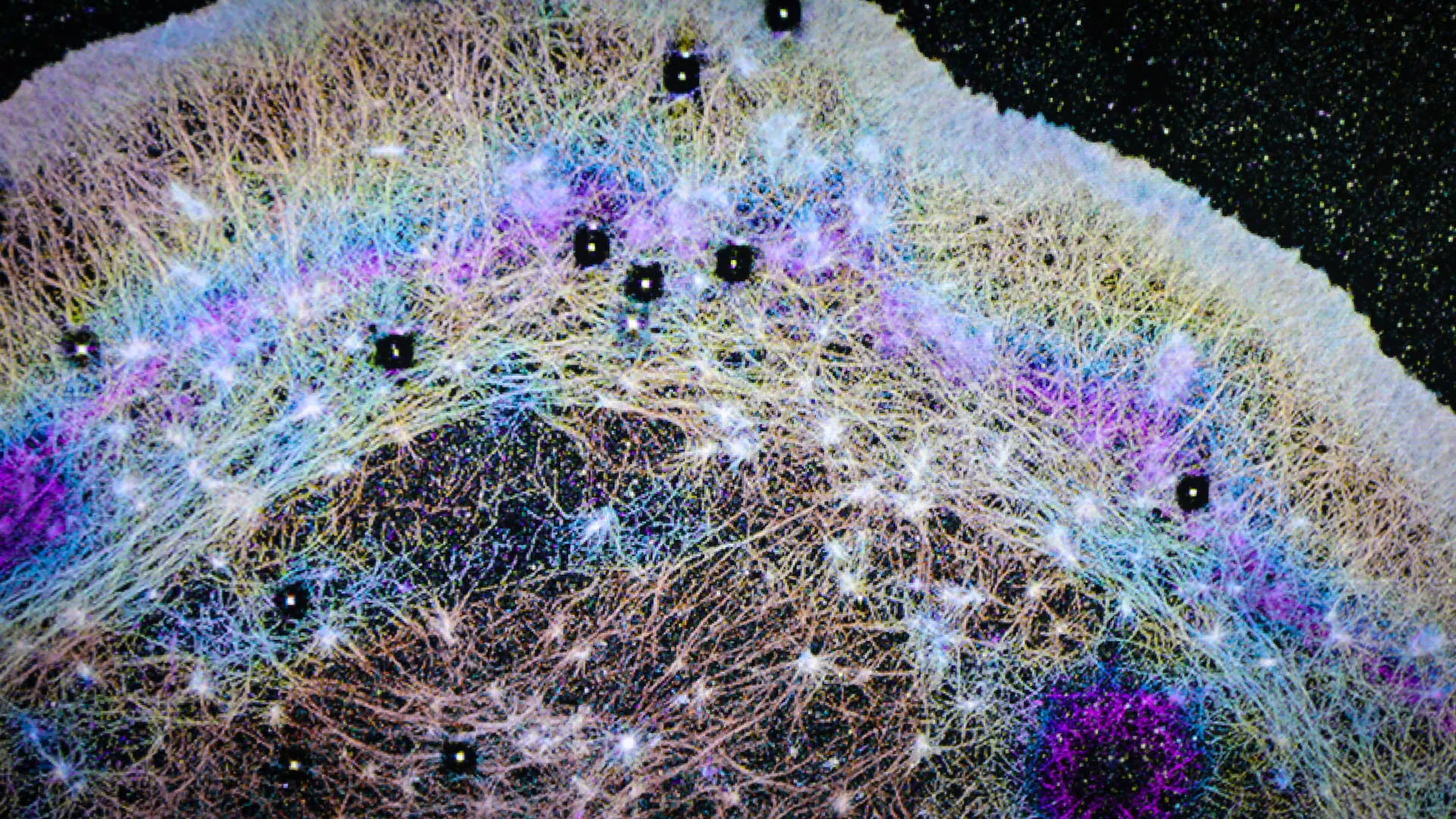 Researchers reveal how ‘cellular winds’ accelerating protein transport might aid cancer spread