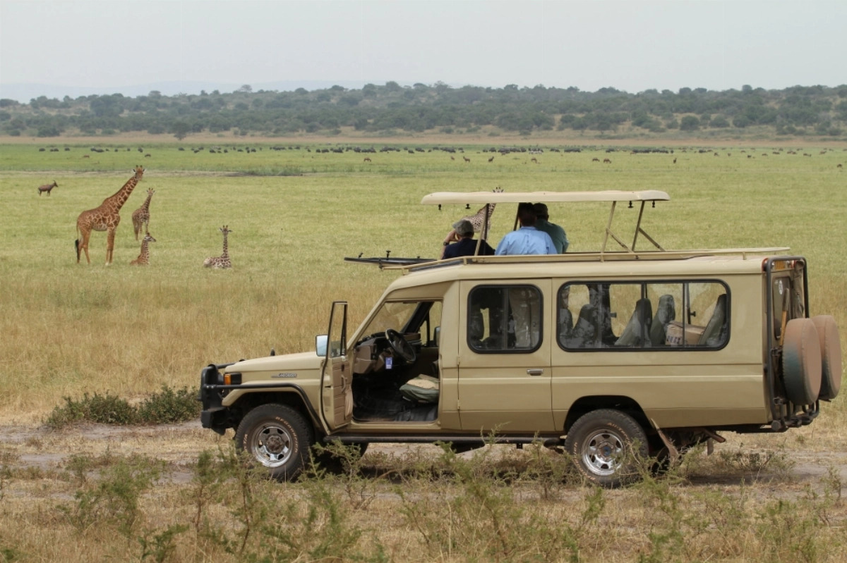 Rwanda’s tourism revenue grows 6% to reach $685 million