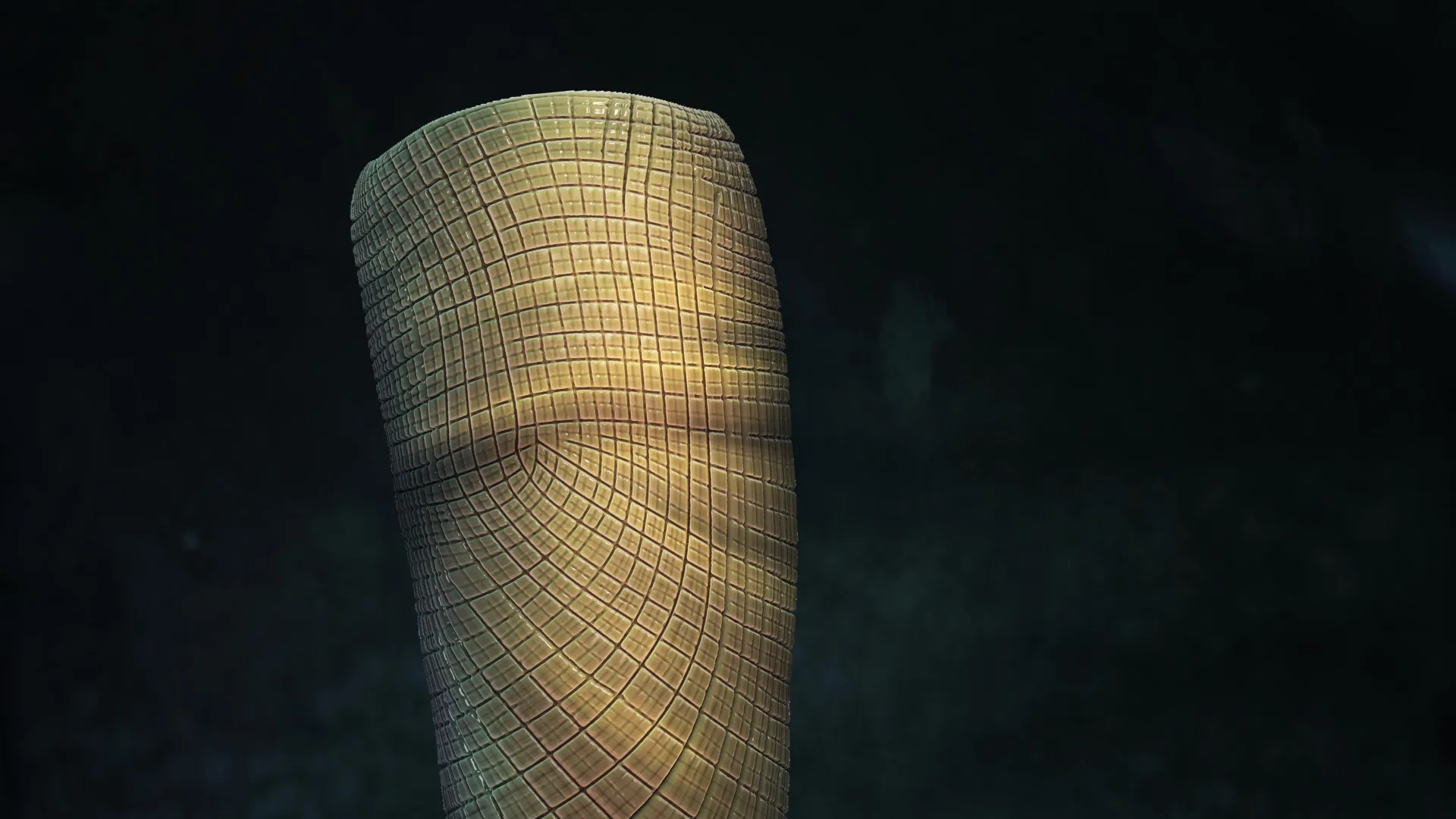 Scientists uncover 550-million-year-old fossil, solving the mystery of early sponges