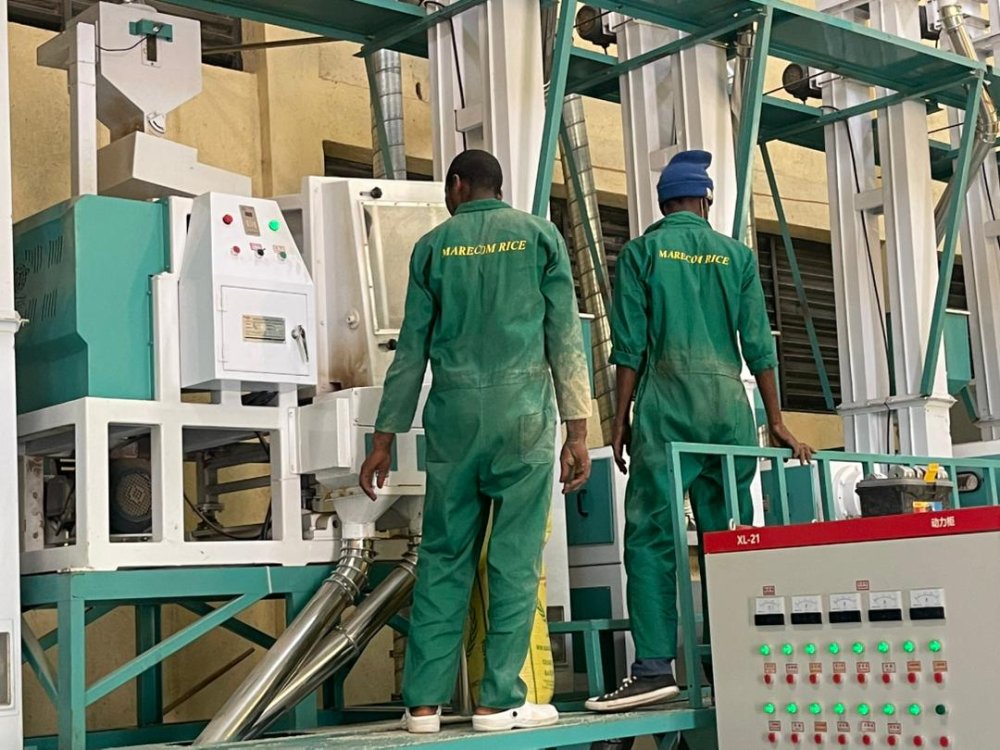 Rwf 2 billion rice factory brings hope to Eastern Province farmers