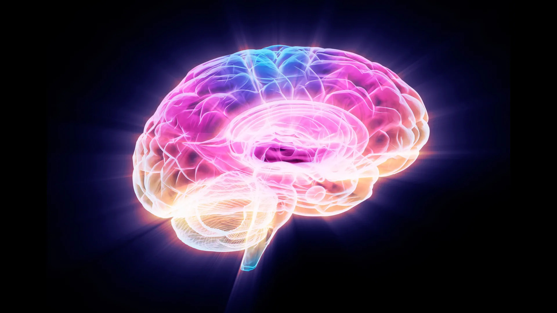 Breakthrough discovery reveals protein behind brain aging,offers potential to reverse memory decline