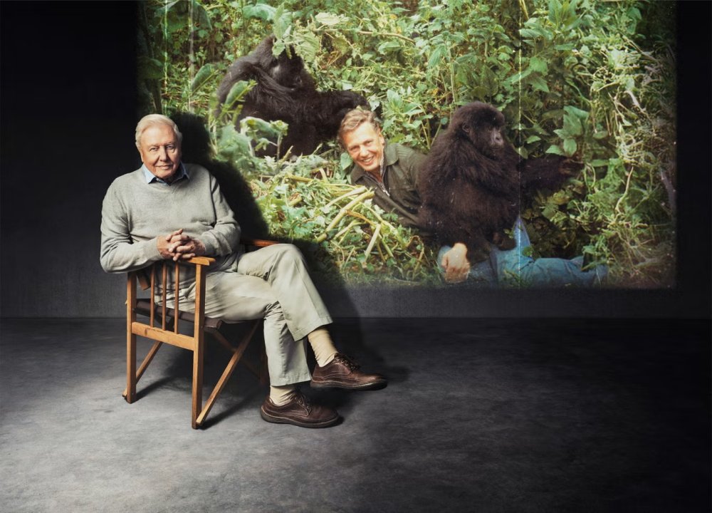 How David Attenborough’s 1978 Rwanda filming trip was briefly overshadowed