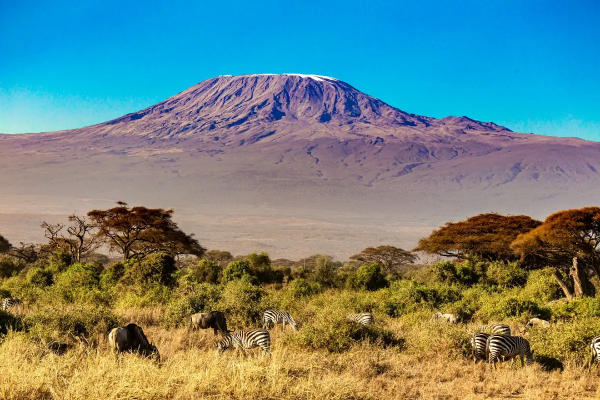 Mount K’njaro wins Africa ‘s leading tourist attraction award