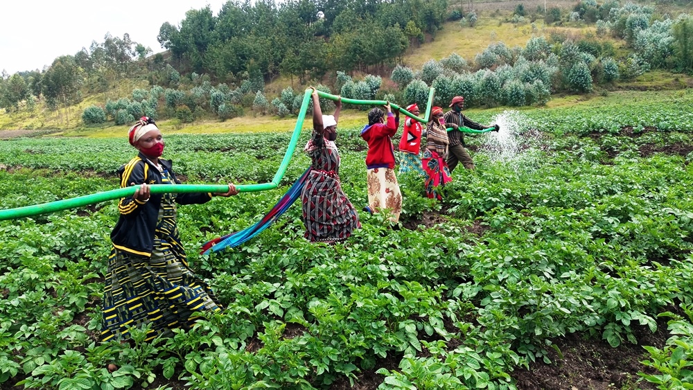 Rwanda to establish Rwf350 billion facility for farmers to access loans at low interest rate