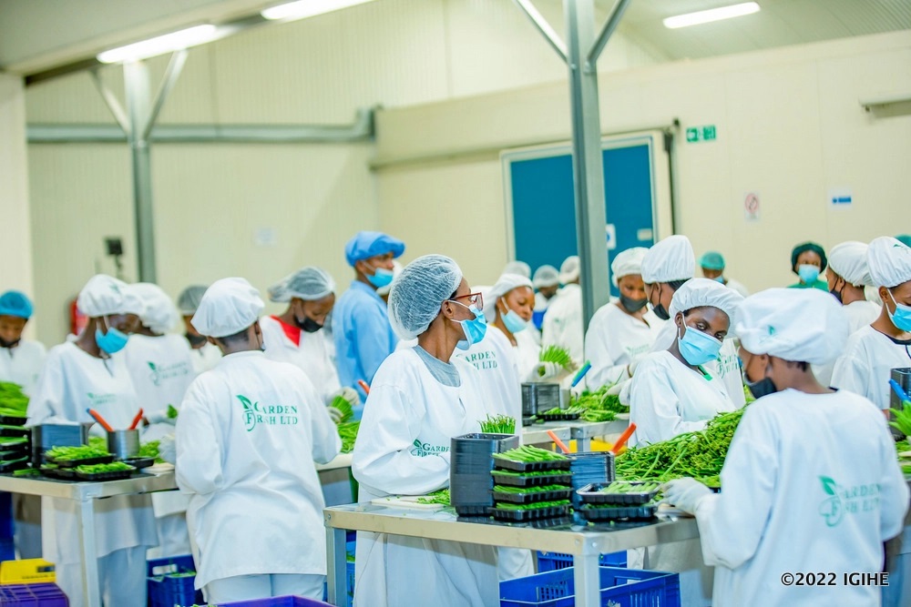 Rwanda earns over Rwf14 billion from agricultural exports in five days